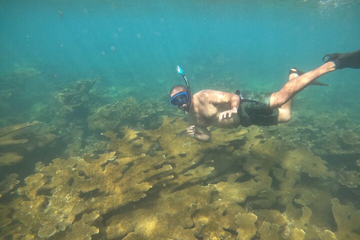 Aventura de mergulho com snorkel em recifes de coral com fotos e vídeos