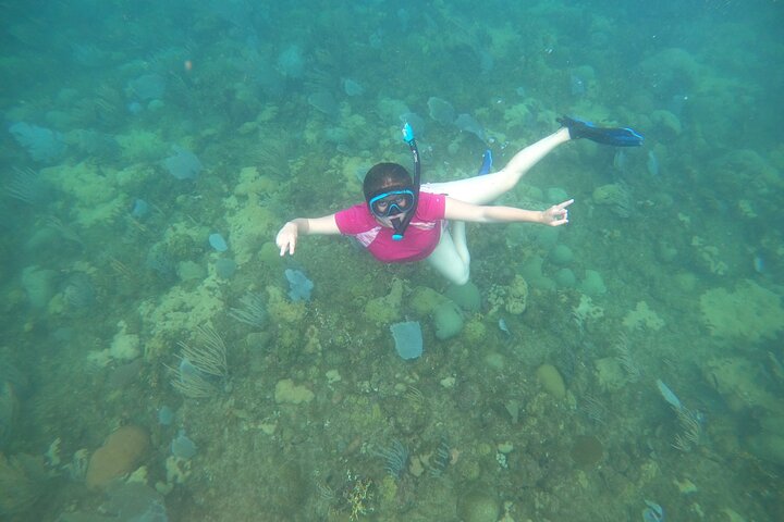 Aventura de mergulho com snorkel em recifes de coral com fotos e vídeos