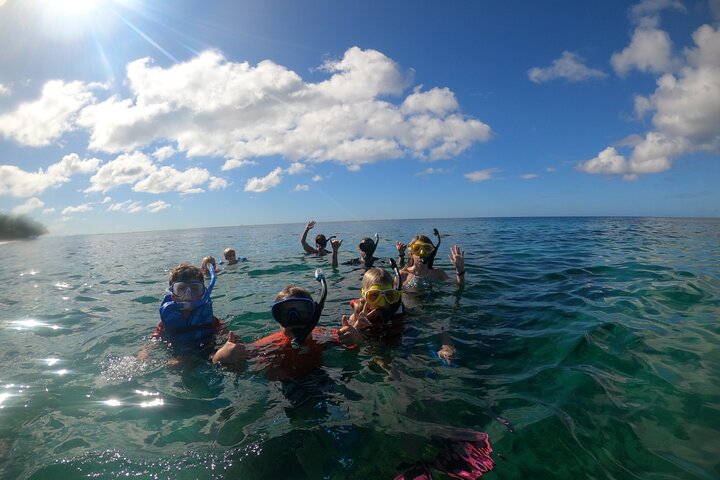 Aventura de mergulho com snorkel em recifes de coral com fotos e vídeos