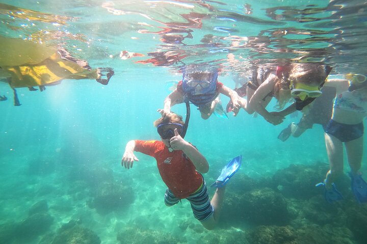 Aventura de mergulho com snorkel em recifes de coral com fotos e vídeos