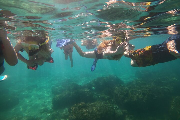 Aventura de mergulho com snorkel em recifes de coral com fotos e vídeos