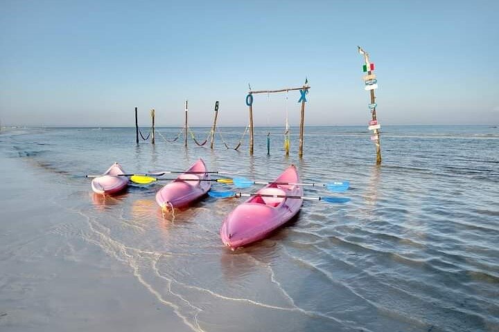 Esperienza in kayak nelle mangrovie dell'isola di Holbox