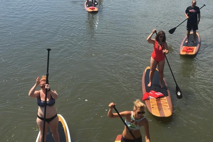 Tour avventuroso in SUP con delfini, lamantini e tartarughe marine di Sant'Agostino