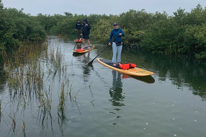 Tour avventuroso in SUP con delfini, lamantini e tartarughe marine di Sant'Agostino