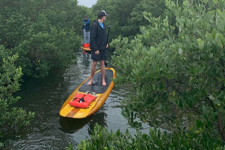 Tour avventuroso in SUP con delfini, lamantini e tartarughe marine di Sant'Agostino