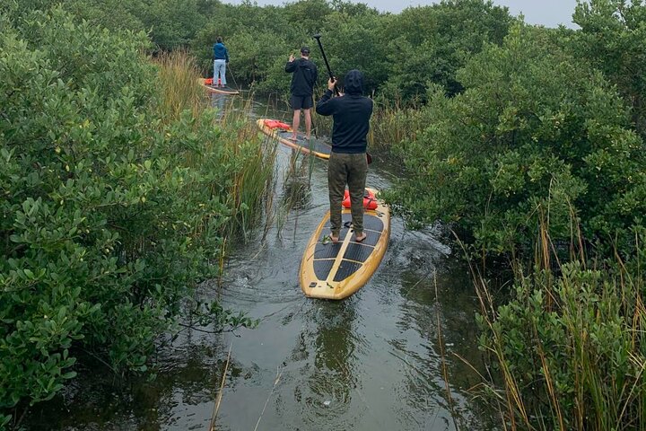 Tour avventuroso in SUP con delfini, lamantini e tartarughe marine di Sant'Agostino