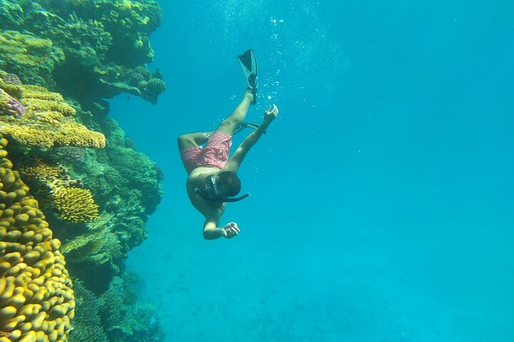 Gita di snorkeling alla Sataya Dolphin House - Marsa Alam