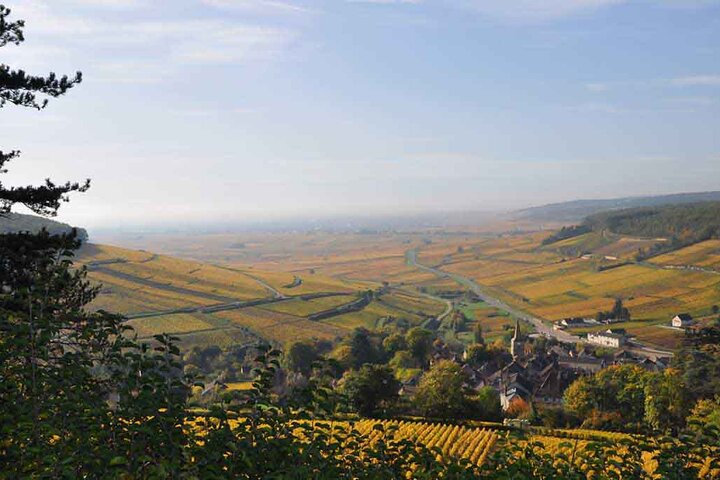 Excursão de dia inteiro para grupos pequenos de Côte de Nuits, Côte de Beaune vinhas e Beaune bairro histórico