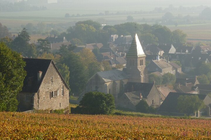 Full-Day Private Tour, 6 Premiers & Grands Crus, The Best of Burgundy