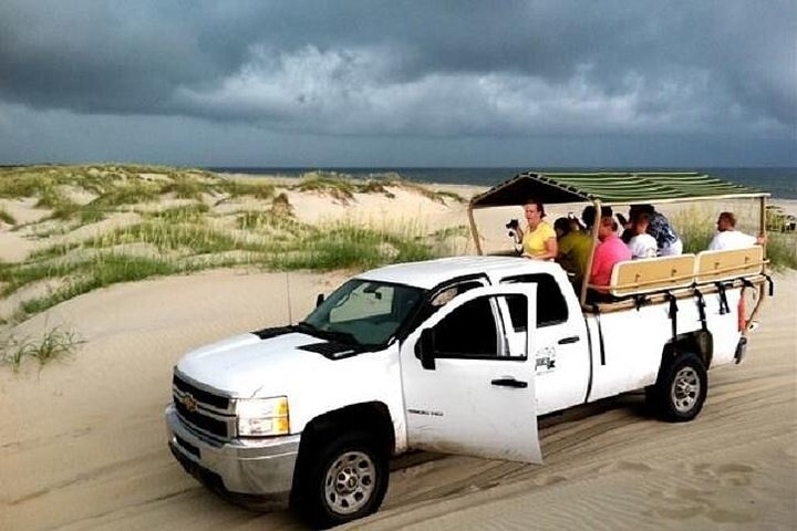 Tour de caballos salvajes de 2 horas en Outer Banks en camión 4WD