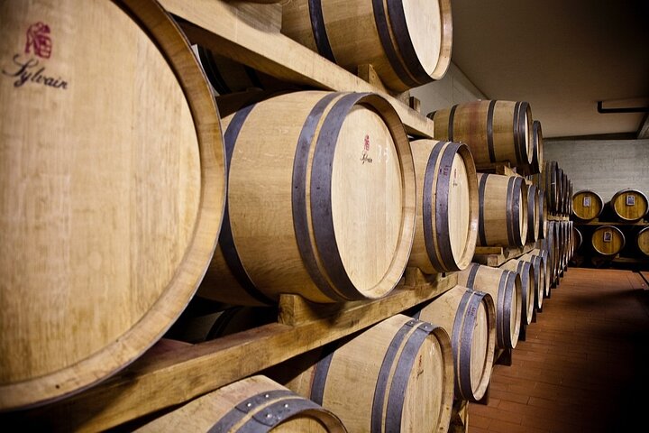 Visite et dégustation de vins biologiques avec vue sur les vignobles Chianti Classico