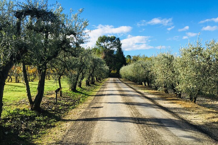 Visite et dégustation de vins biologiques avec vue sur les vignobles Chianti Classico