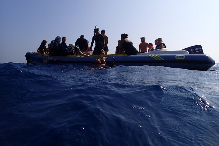 Gita di snorkeling alla Sataya Dolphin House - Marsa Alam