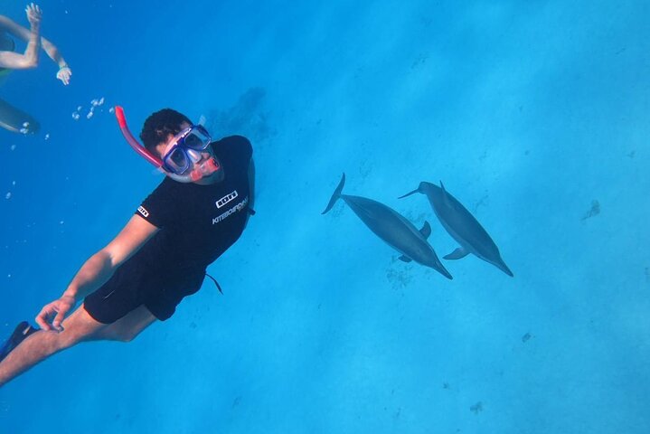Gita di snorkeling alla Sataya Dolphin House - Marsa Alam