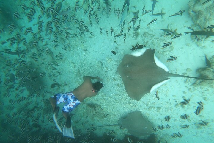 Sandbank Snorkeling and Sunset Cruise