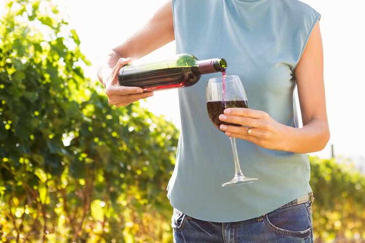 Troodos Mountains Vino Venture: Tour del vino di un'intera giornata