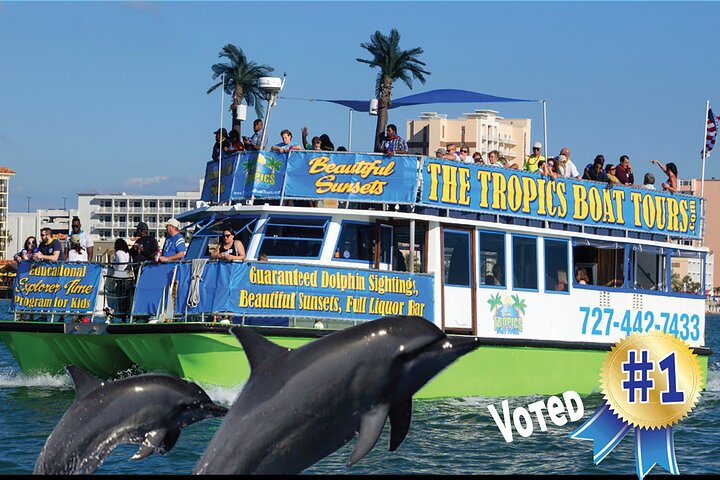 Gegarandeerde dolfijnenexcursie tijdens Tropics Boat Tours