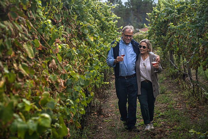 Degustazione di identità | Quinta de Santa Cristina Vinho Verde