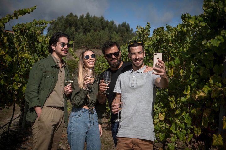 Degustazione di identità | Quinta de Santa Cristina Vinho Verde