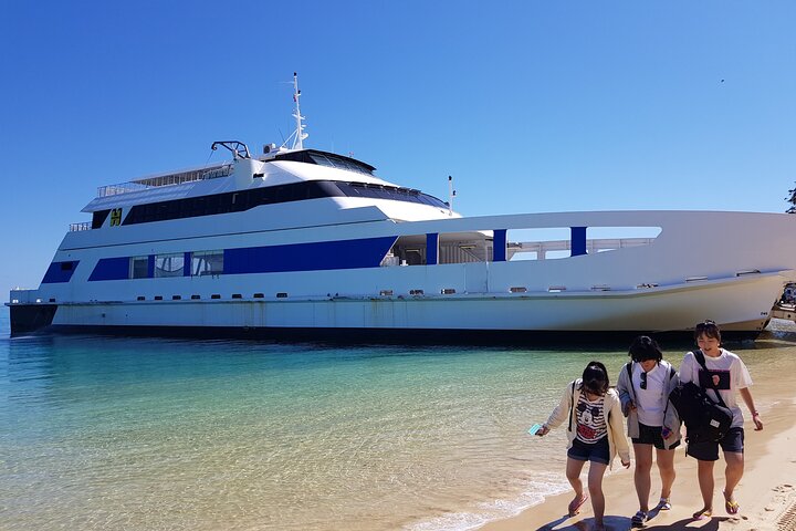 Viagem diurna à Ilha Moreton (caiaque, snorkel e sandboard) de Brisbane ou Gold Coast
