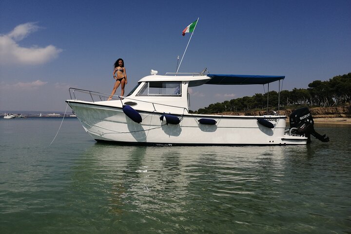 Passeio de barco, festa em barco, observação de golfinhos, pesca.