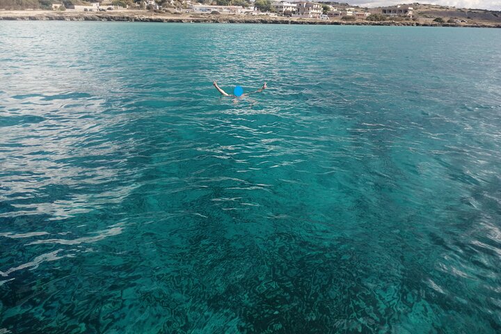 Passeio de barco, festa em barco, observação de golfinhos, pesca.