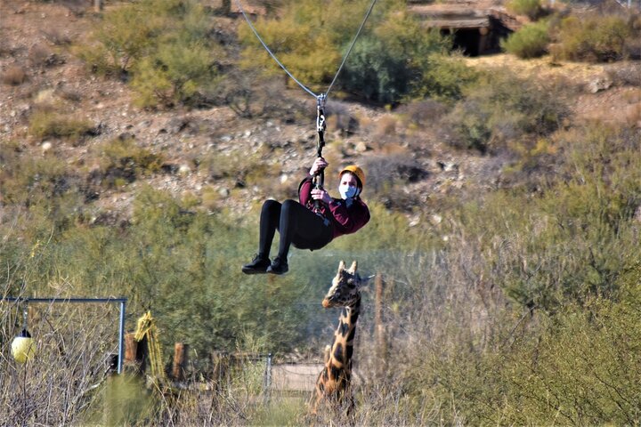 Passeio de tirolesa no Out of Africa Wildlife Park em Sedona, Camp Verde