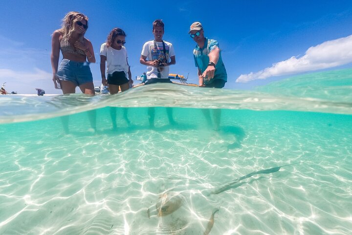 Ocean Forsränning: Whitehaven Beach, Snorkling och Hill Inlet Lookout