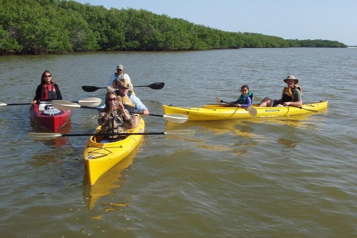 Kleine groep Everglades Varen Kajakken en wandelen Eco Tour