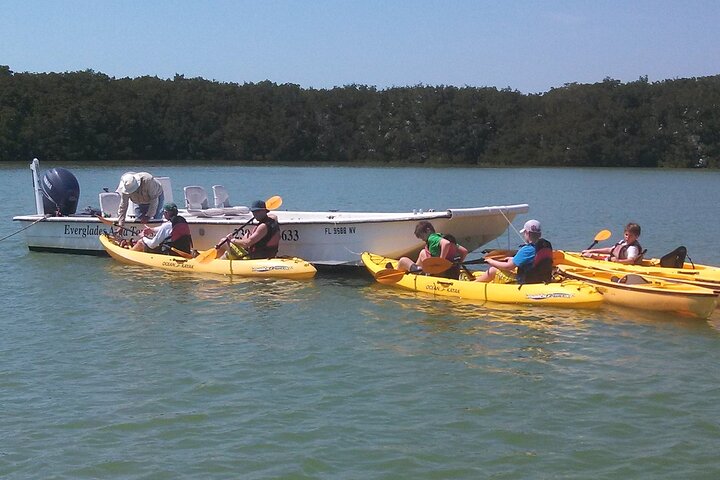 Kleine groep Everglades Varen Kajakken en wandelen Eco Tour