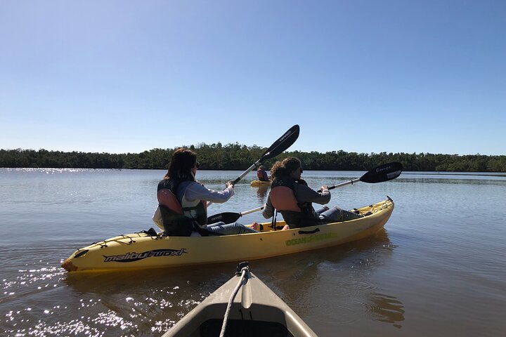 Kleine groep Everglades Varen Kajakken en wandelen Eco Tour