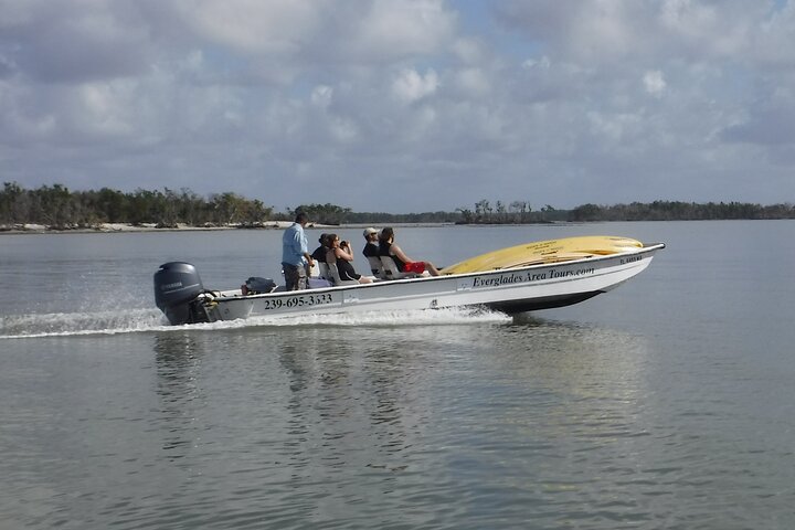 Kleine groep Everglades Varen Kajakken en wandelen Eco Tour