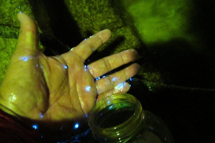 Tour nocturno en kayak Relájese bajo el resplandor natural de las luciérnagas marinas