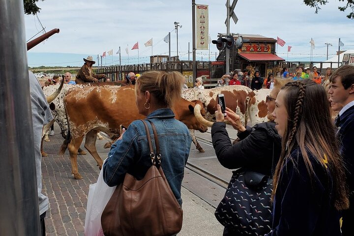 Det bedste af Fort Worth fra Dallas eller Fort Worth