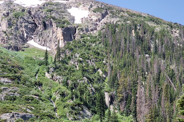 Privat tre timmars eftermiddag anpassad rundtur i Rocky Mountain National Park