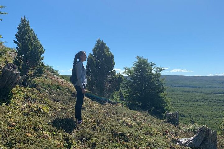 Reserva Nacional Magallanes y Tour por la ciudad de Punta Arenas