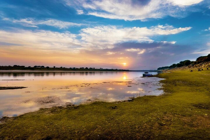Aventure Safari Crocodiles Chambal avec Transferts à l'Hôtel