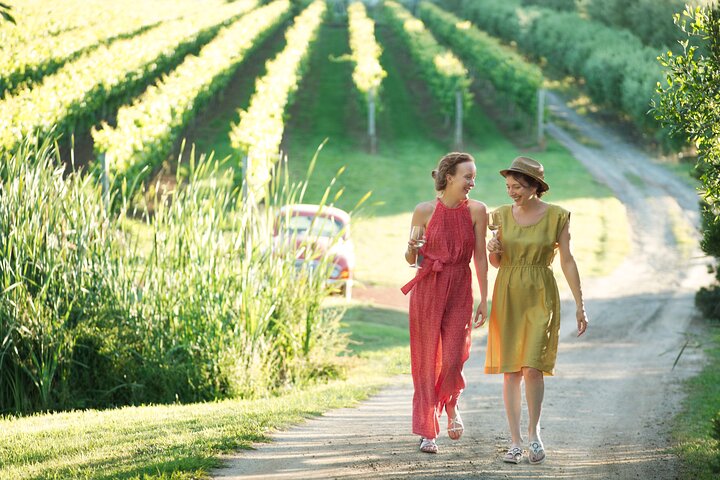 Montalto Vineyard: Mornington Peninsula Weinverkostung und Mittagessen