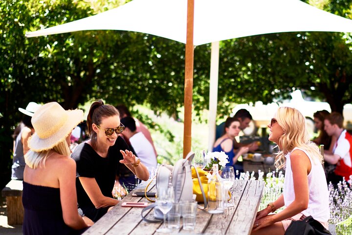 Montalto Vineyard: Mornington Peninsula Weinverkostung und Mittagessen
