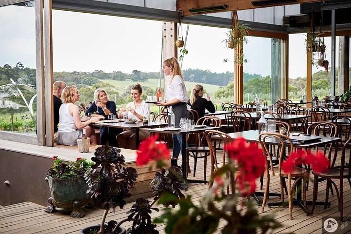 Montalto Vineyard: Mornington Peninsula Weinverkostung und Mittagessen