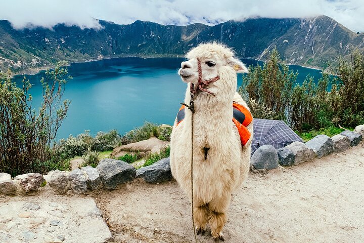 Excursión de día completo a la laguna de Quilotoa desde Quito con entradas diarias