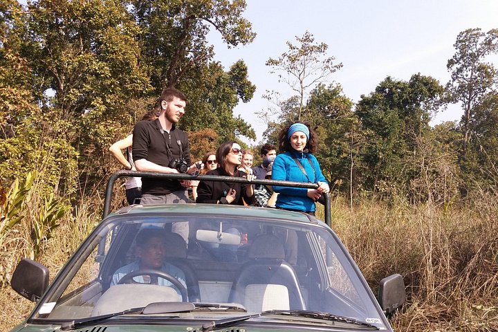 Jeep Safari (Privat, 8 - 10 Stunden) im Chitwan Nationalpark.