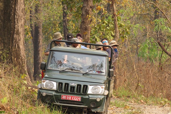 Jeep Safari (Privat, 8 - 10 Stunden) im Chitwan Nationalpark.