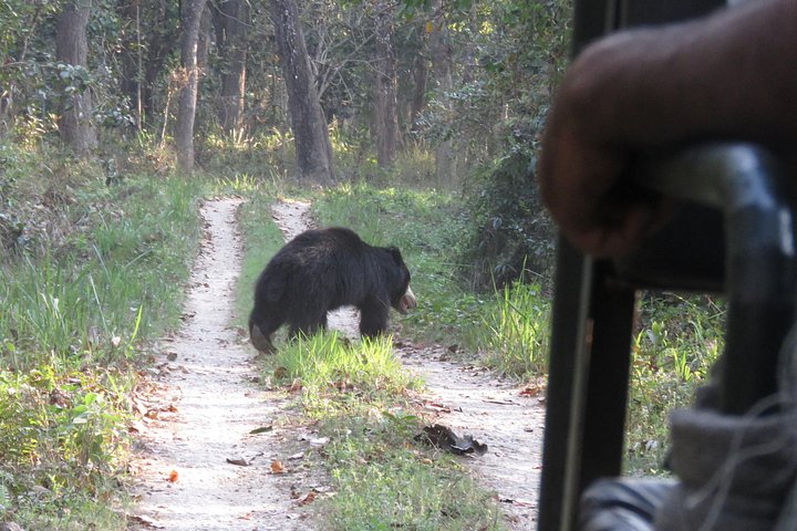 Jeep Safari (Privat, 8 - 10 Stunden) im Chitwan Nationalpark.
