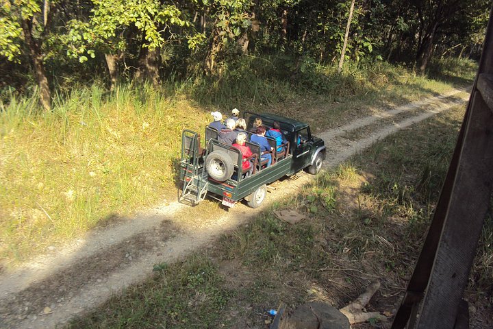 Jeep Safari (Privat, 8 - 10 Stunden) im Chitwan Nationalpark.