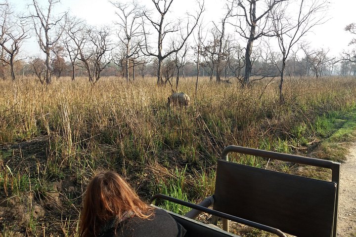 Jeep Safari (Privat, 8 - 10 Stunden) im Chitwan Nationalpark.