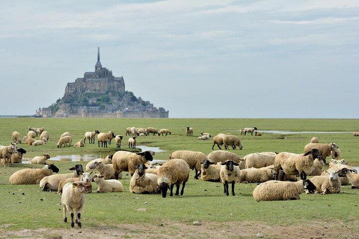 Excursion d'une journée avec un chauffeur local Mont Saint-Michel au départ de Saint-Malo - 6 heures