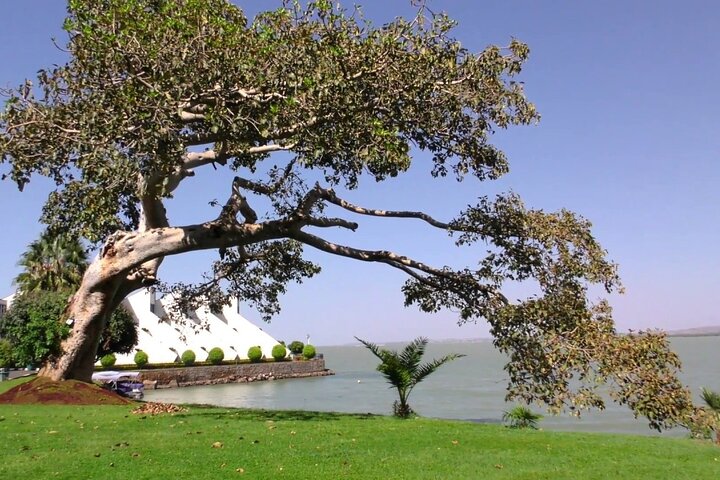Privata guidade turer till Bahir Dar Lake Tana-klostret och Blue Nile-vattenfall