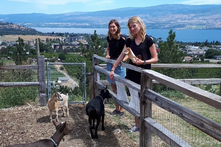 Visite guidée des vins de Kelowna ou West Kelowna