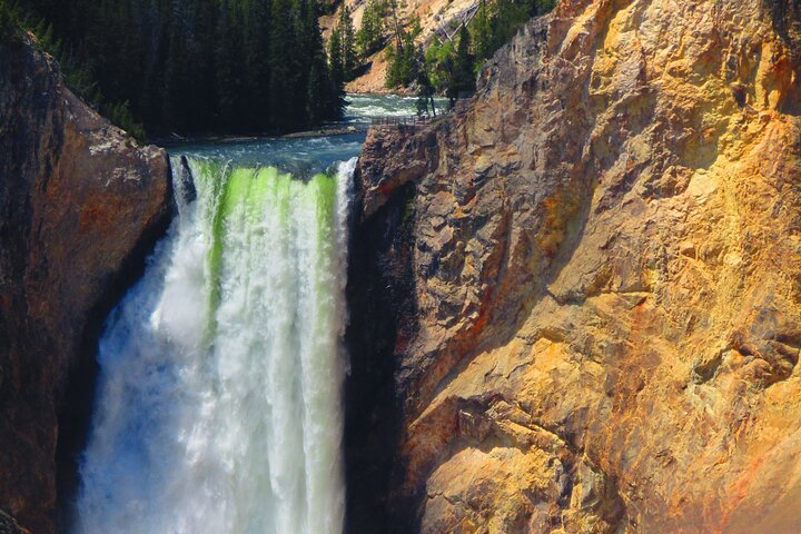 Grand Canyon do Yellowstone Rim and Loop Hike com almoço